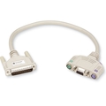 Cable para Usuario Servswitch