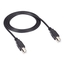 USB08-0006: Type B/Type B, M/M, 1.8m